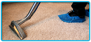Professional Carpet Cleaners